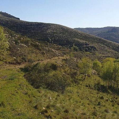 Casa Restaurante O Pites Βίλα Alfaiao Εξωτερικό φωτογραφία