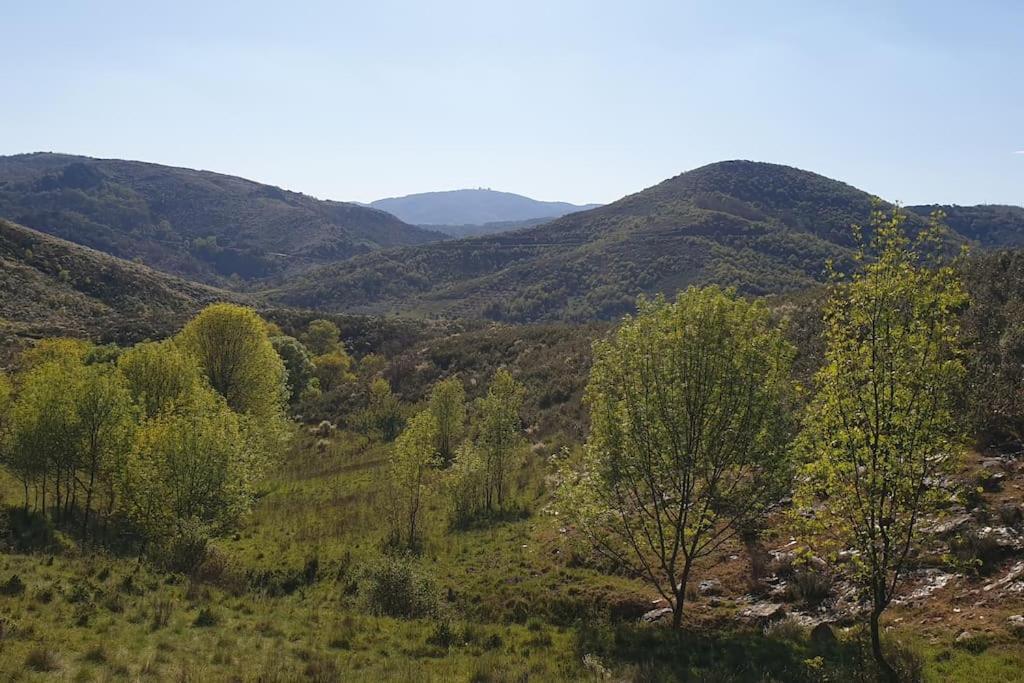 Casa Restaurante O Pites Βίλα Alfaiao Εξωτερικό φωτογραφία