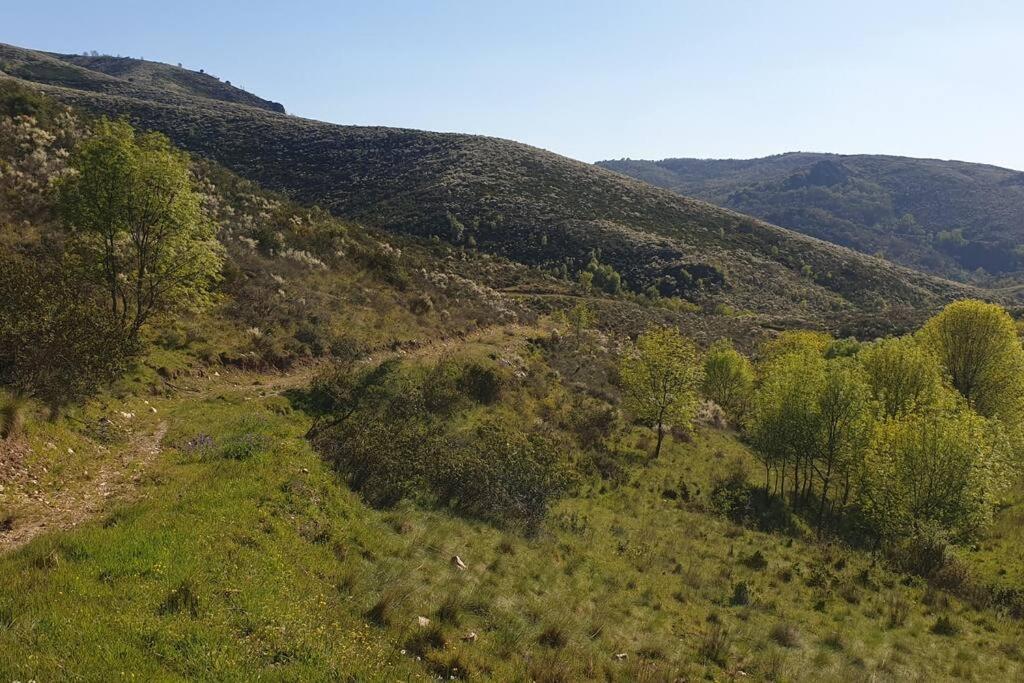 Casa Restaurante O Pites Βίλα Alfaiao Εξωτερικό φωτογραφία